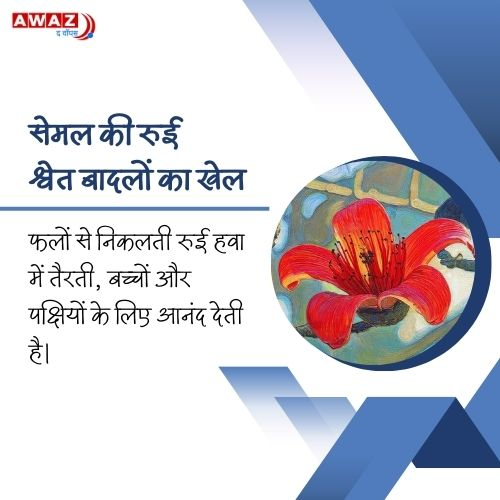 AwazTheVoiceHin's tweet image. सेमल: साहित्य और संस्कृति का प्रतीक 

#Semal #Literature #Culture #Nature #Symbolism