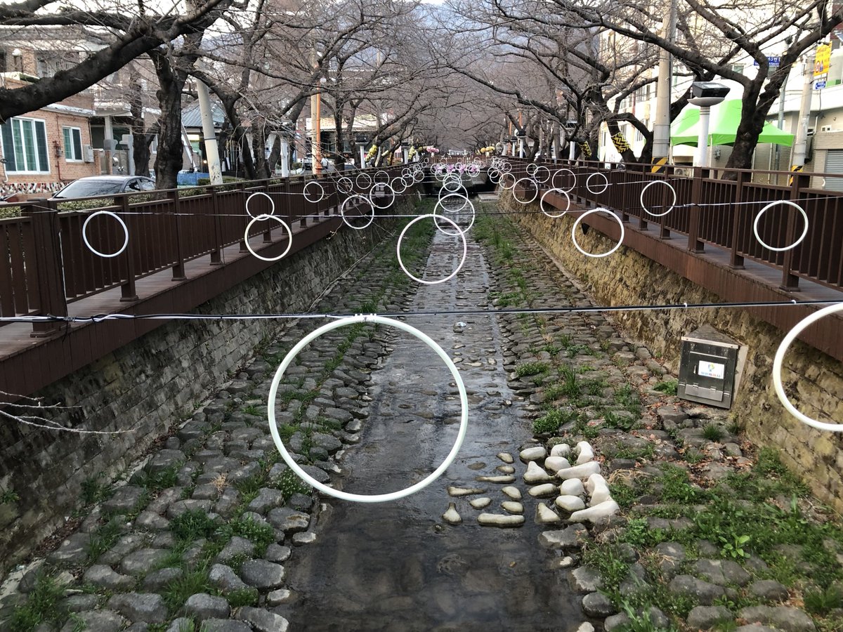 🦋오승용🍎 ⛅️ tweet media