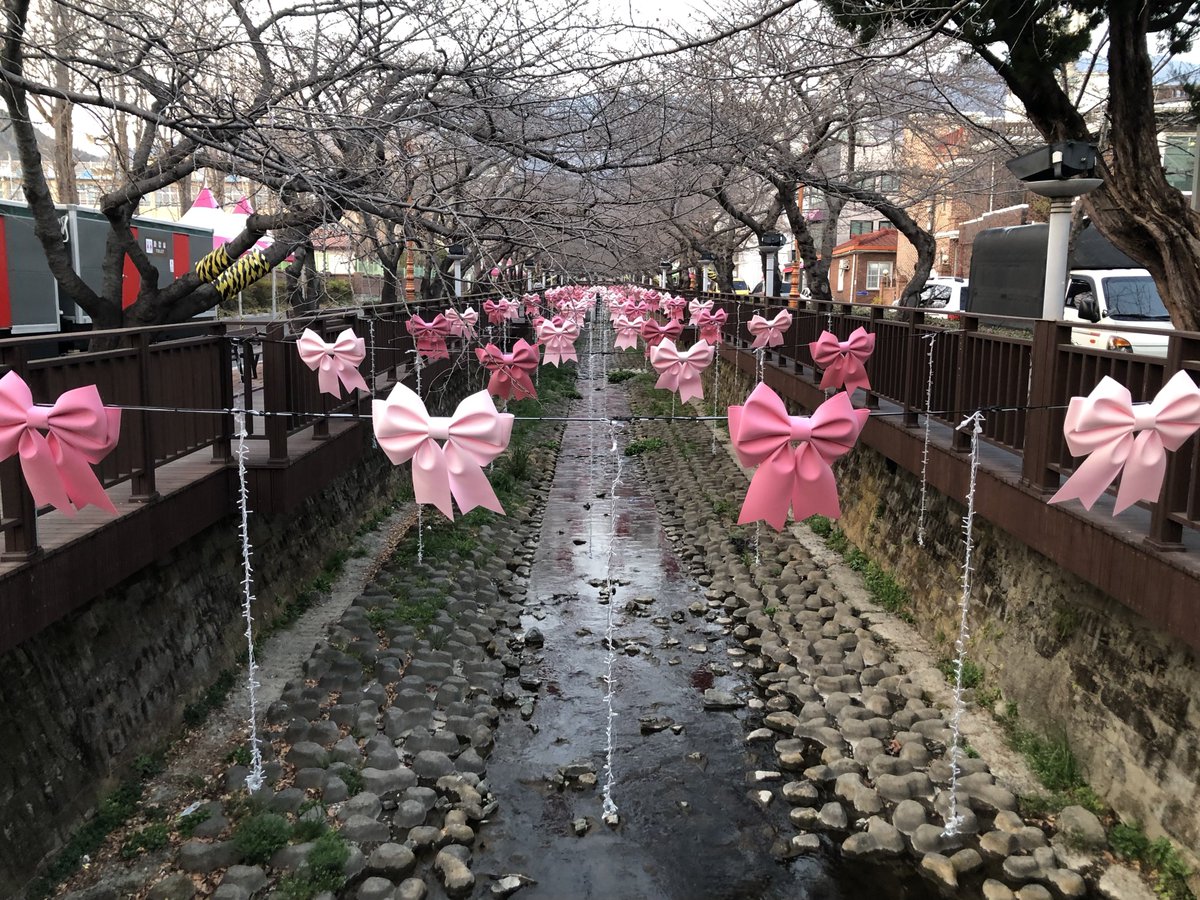 🦋오승용🍎 ⛅️ tweet media