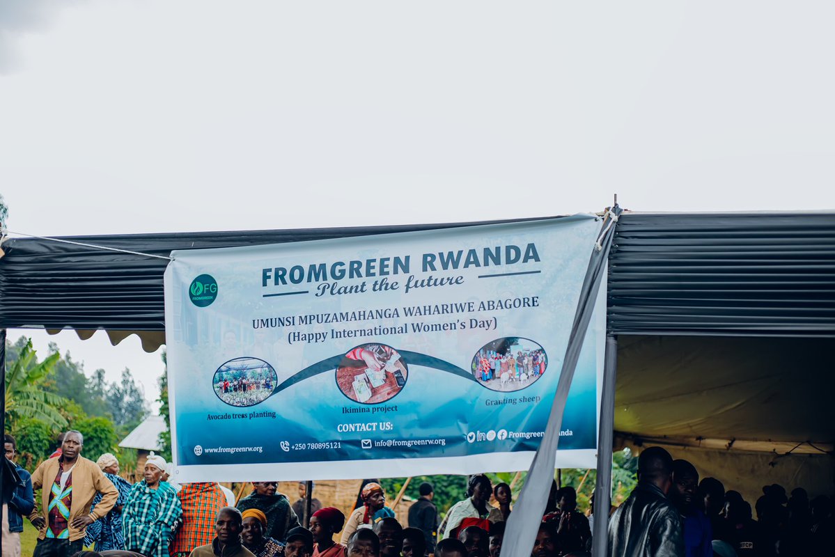 FROMGREEN tweet media