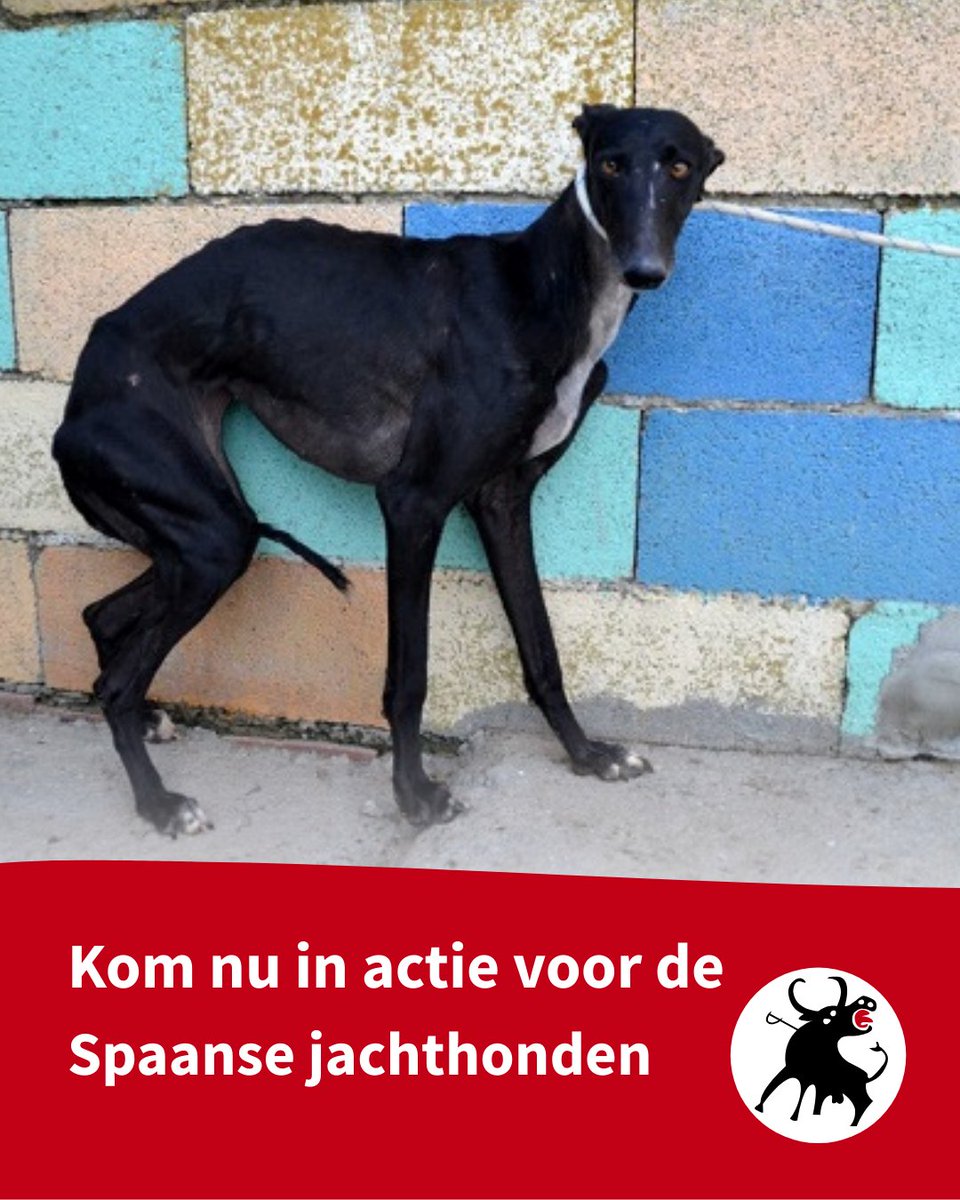 CAS International tweet media