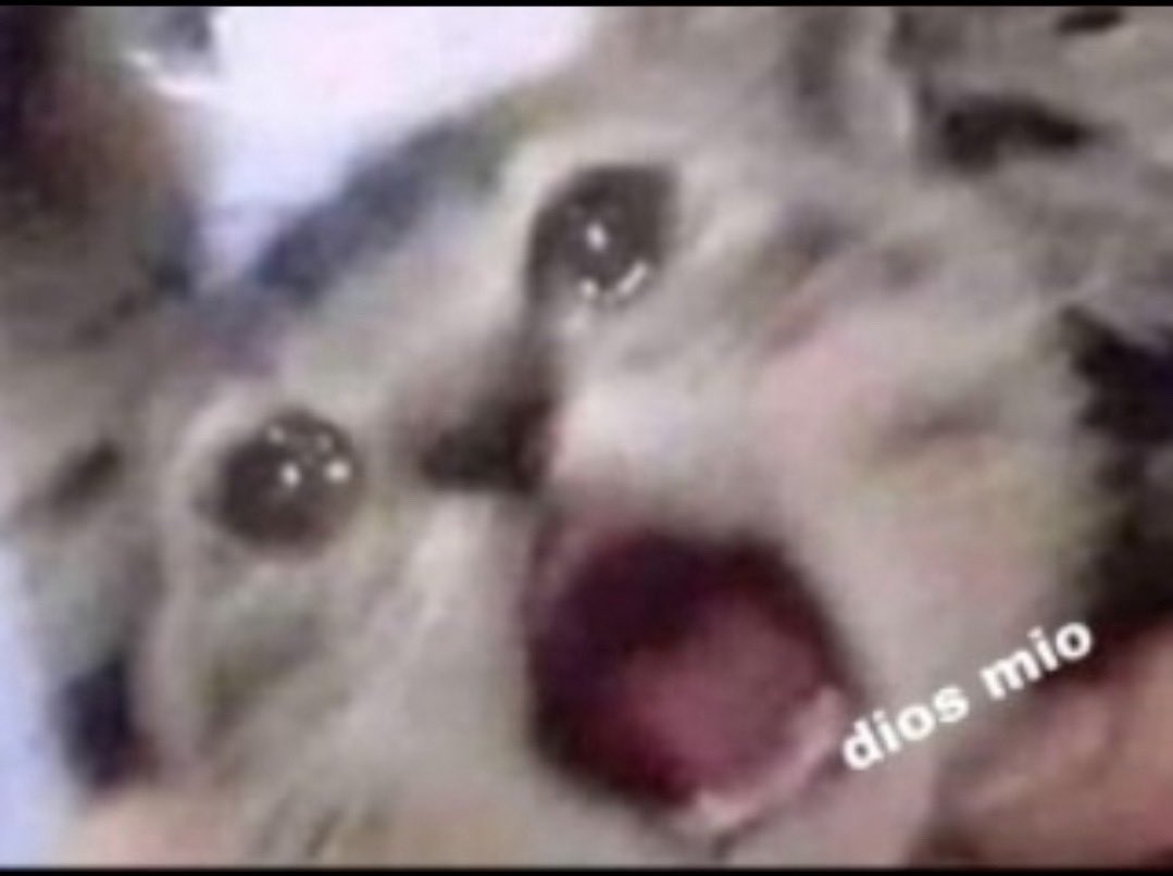 Cade ☁️ | FKA SleepyFaeVT tweet media