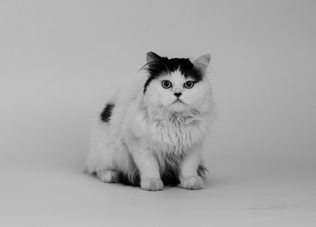 Michelle Wells tweet media