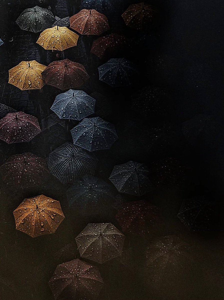 A rainy day 📸
By: junkoro