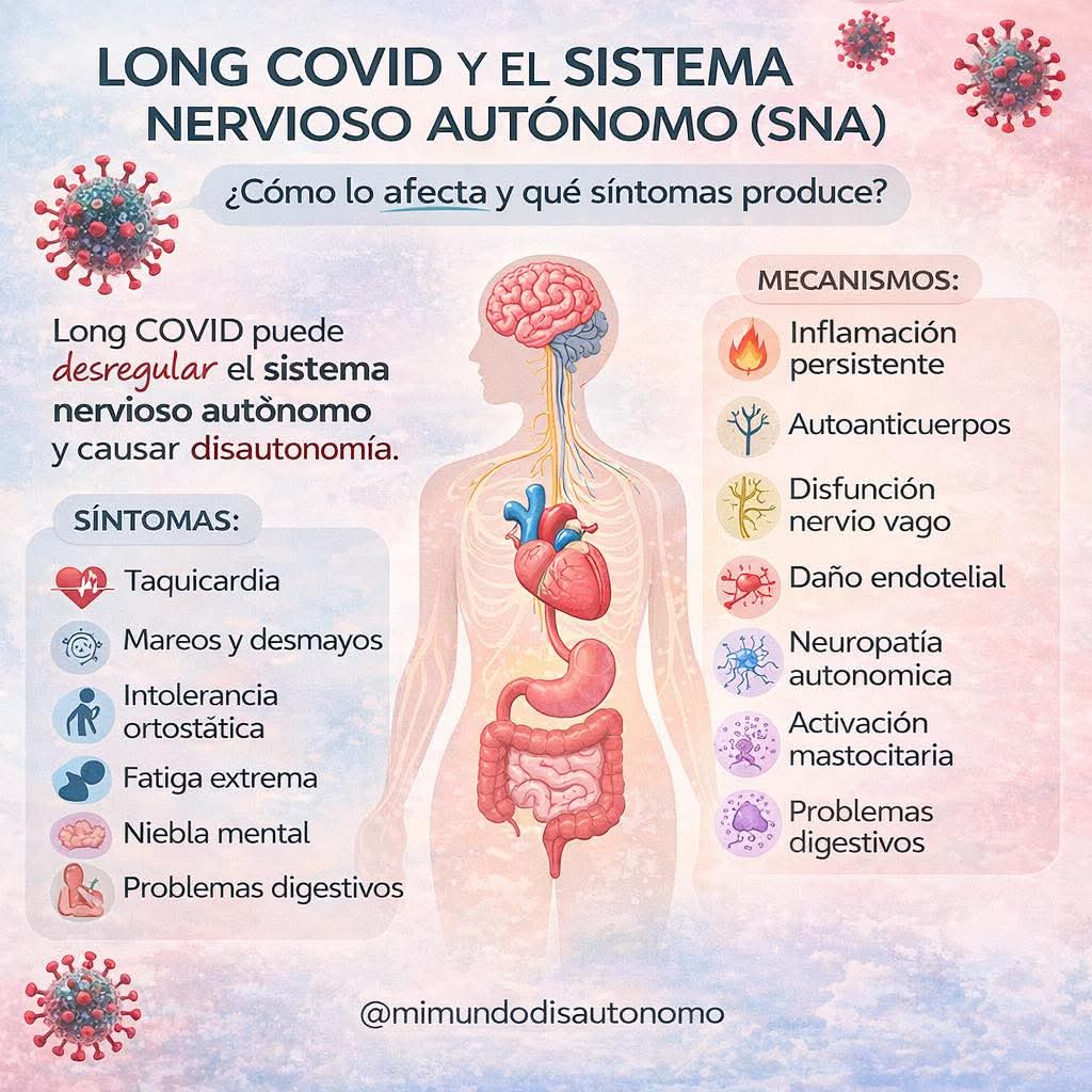 Long Covid Euskal Kolektiboa. tweet media