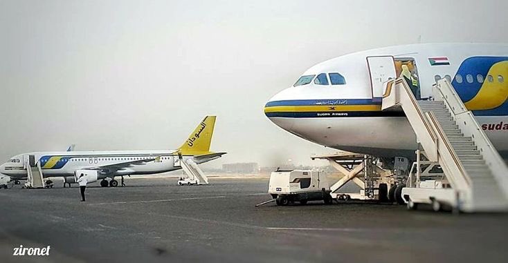 M.hamdoun |حمدون tweet media