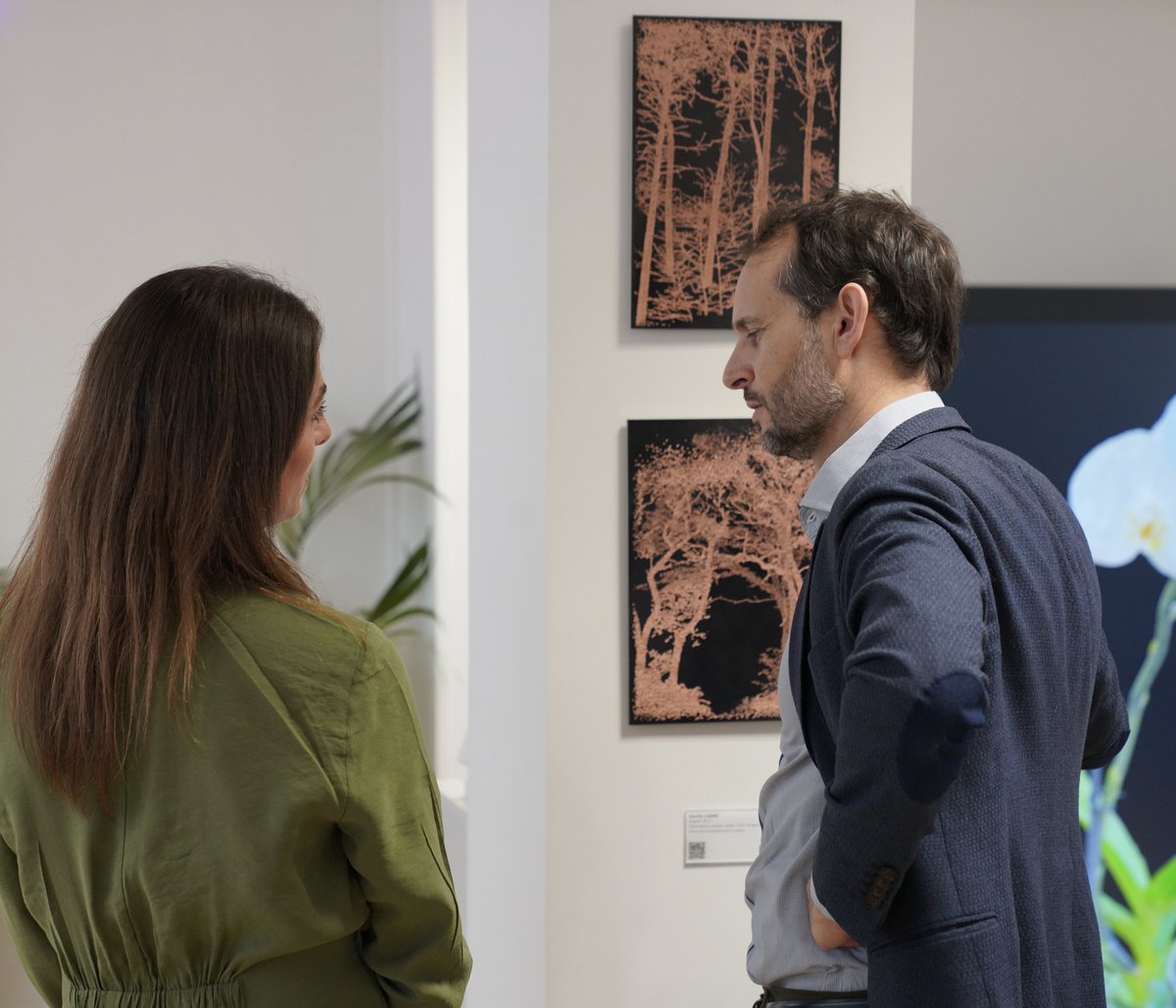 David Lisser tweet media