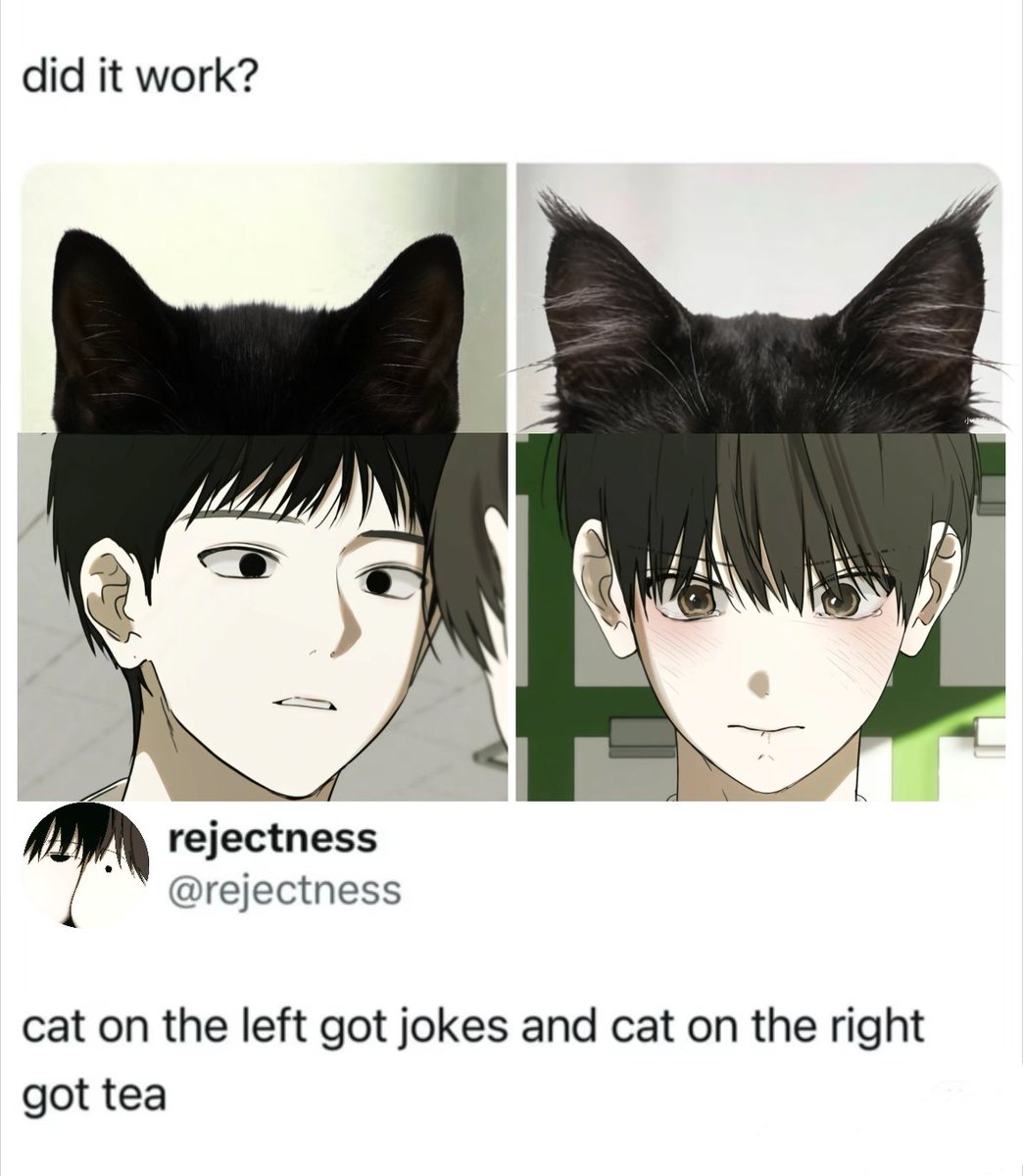 Zephyrine tweet media