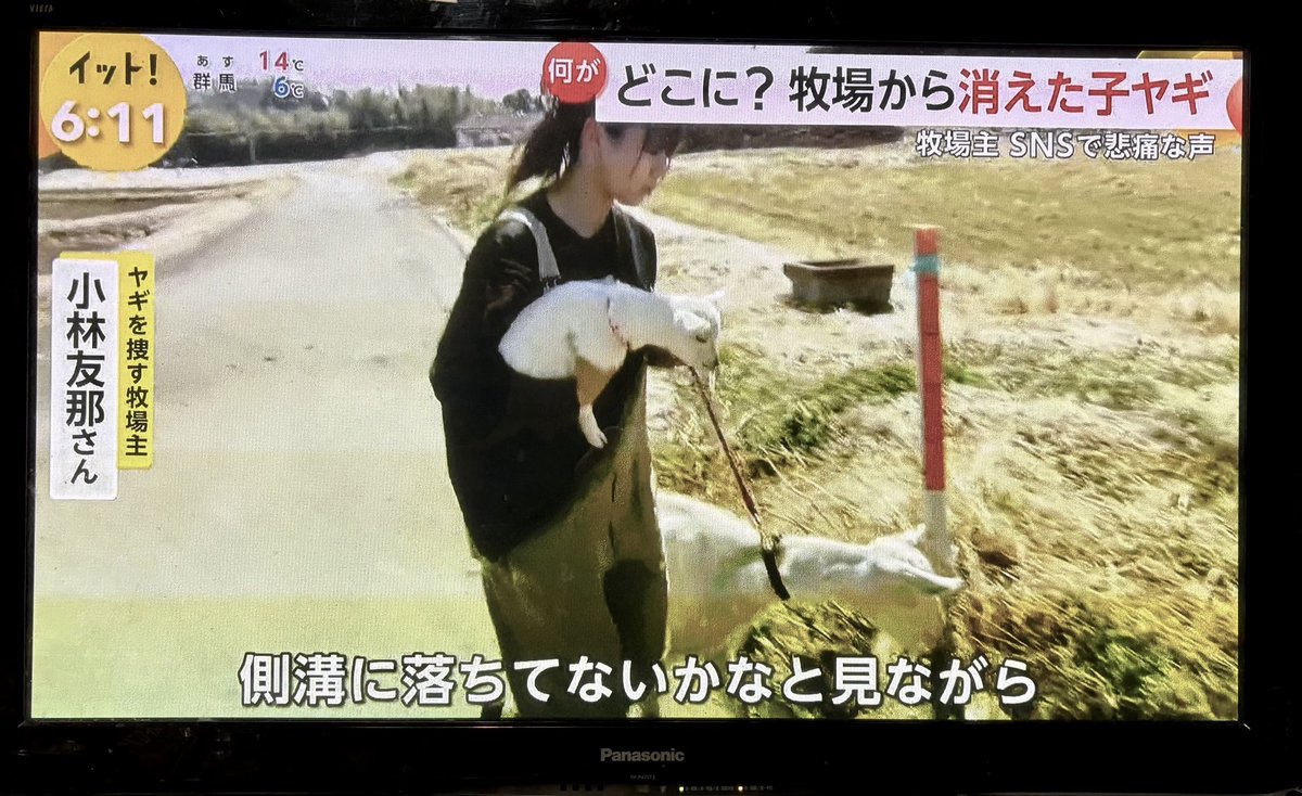 モーモーパラダイス牧場 tweet media