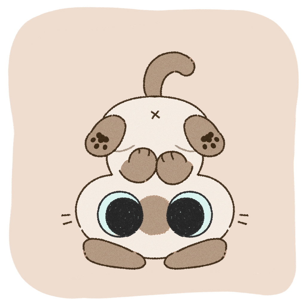 のべ子とシャム猫あずきさん tweet media