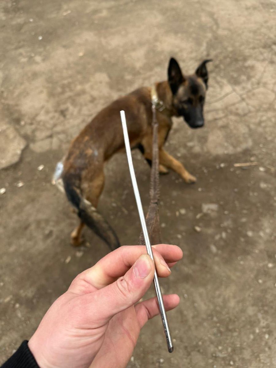 April Huggett tweet media