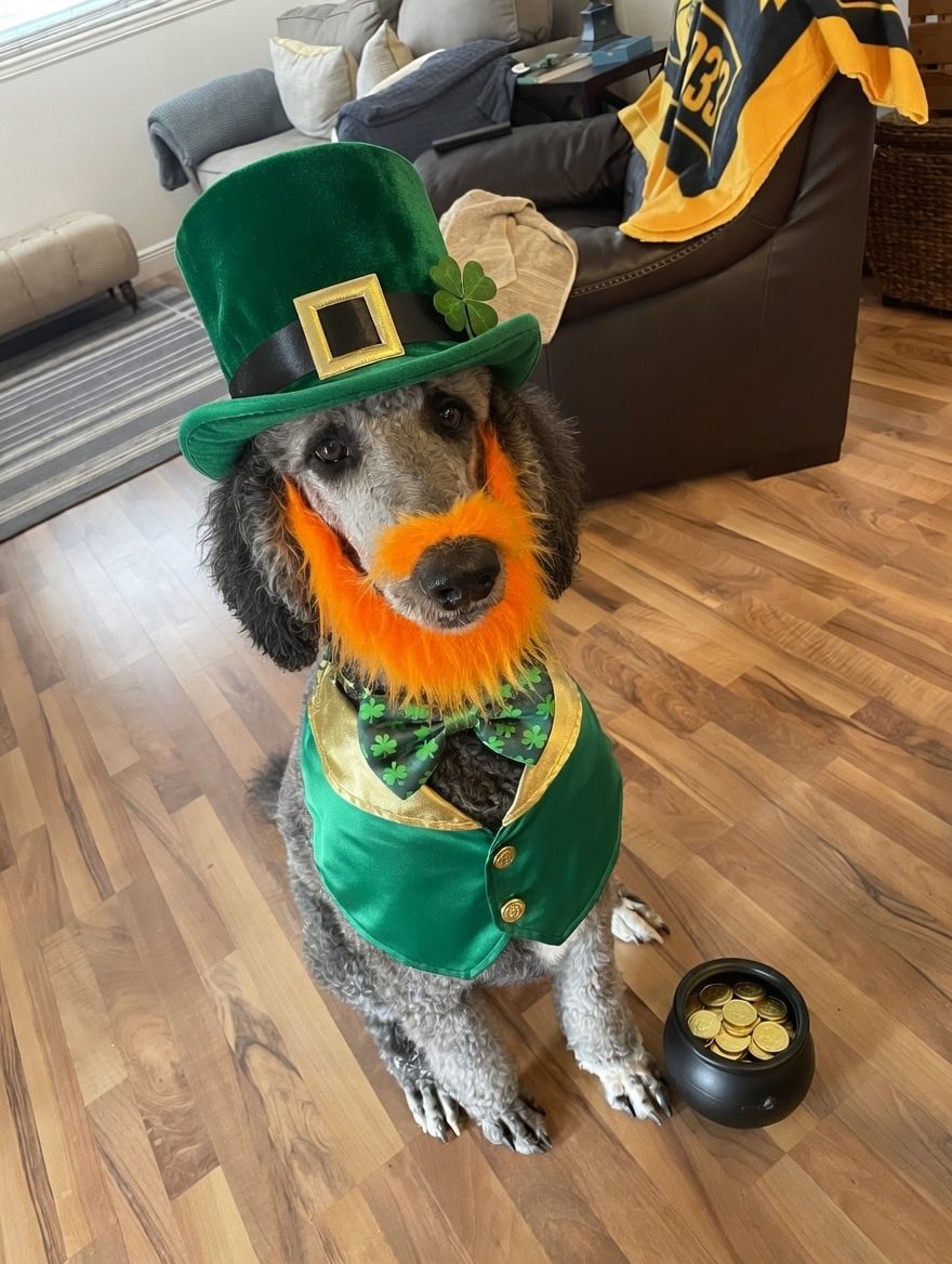 Doodest Priest tweet media