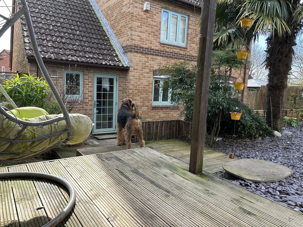 Phoebe & Hugo Dale🌈Jack and Molly OTRB🌈 tweet media