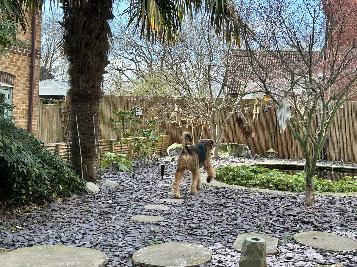 Phoebe & Hugo Dale🌈Jack and Molly OTRB🌈 tweet media