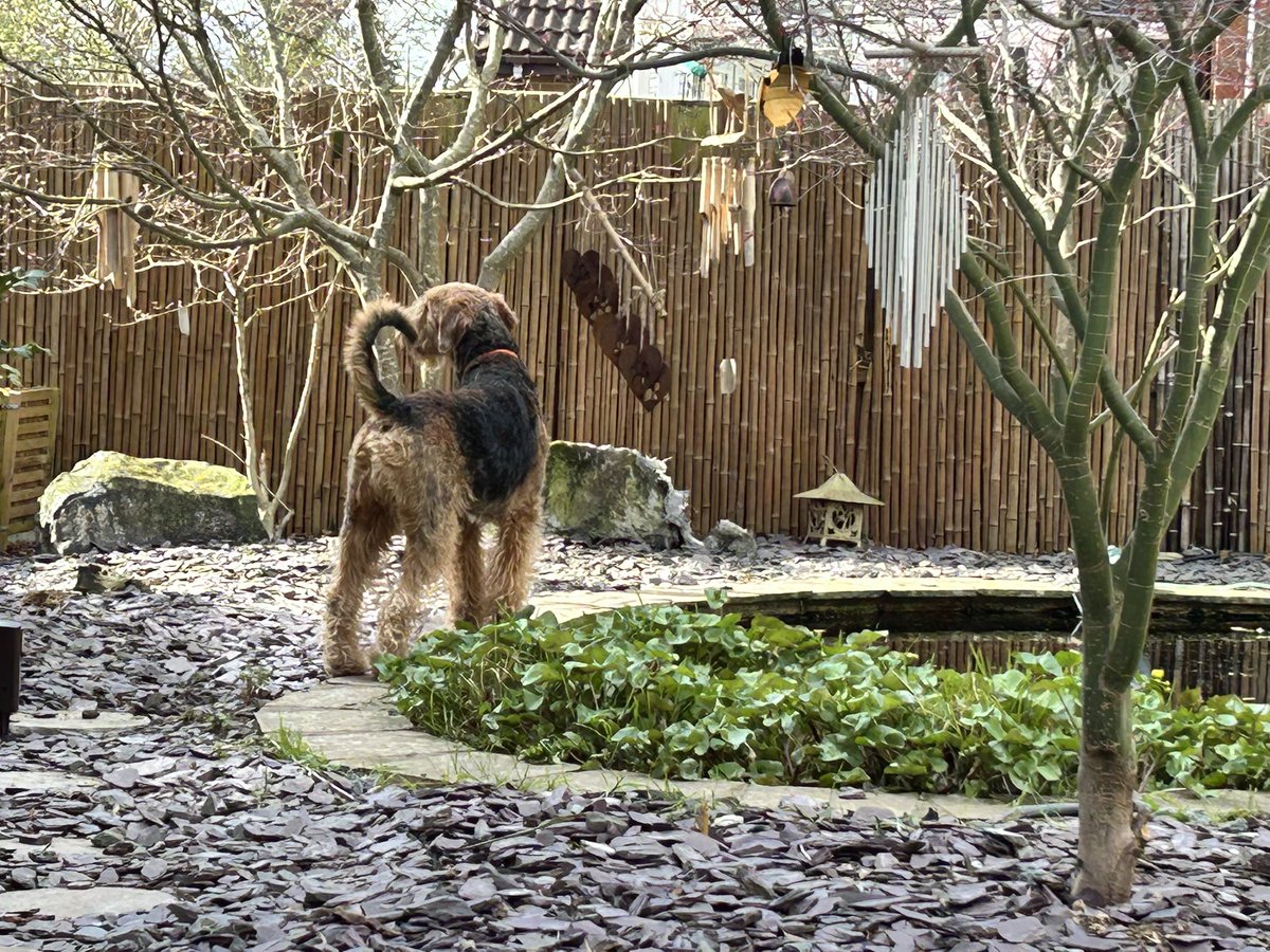 Phoebe & Hugo Dale🌈Jack and Molly OTRB🌈 tweet media