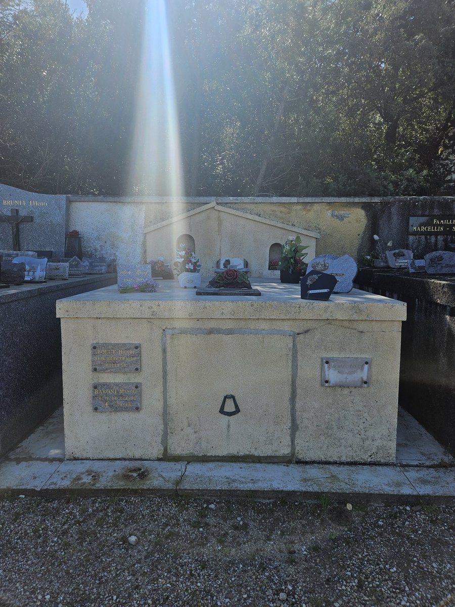 Joe Wild tweet media