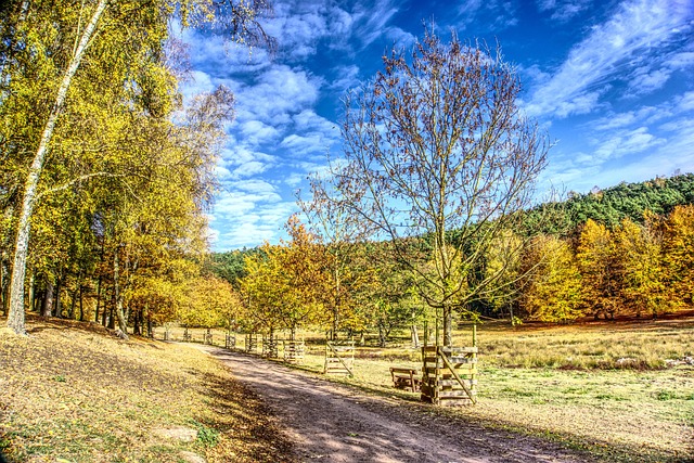 Monica Brown tweet media