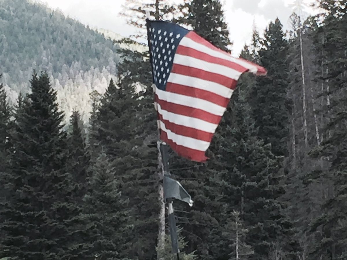 Thank You !!! I busted 3k thanks to you and your support. I am getting all you you followed back as quickly as possible.