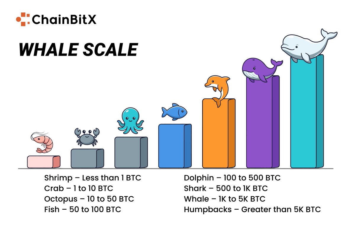 ChainBitX tweet media