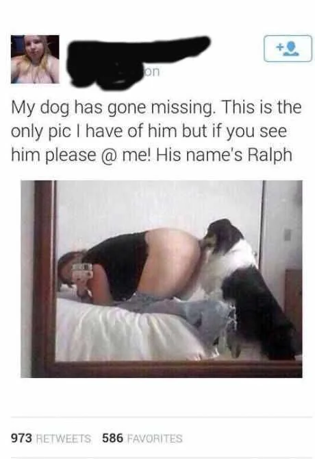 🟧 hodler ⓧ 🟧 tweet media