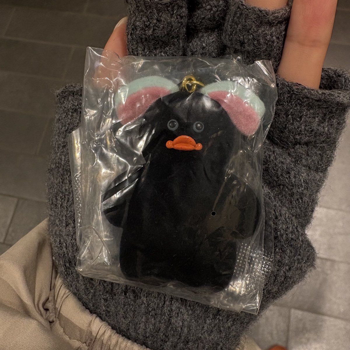 Chini🦊🦋 tweet media