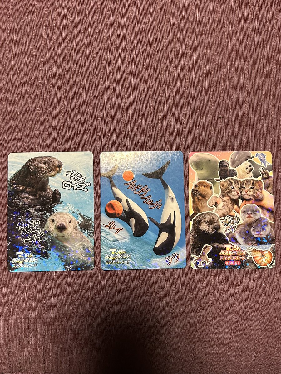 #とばすいコレカ2
オンライン分20パックきた〜
レアは3
ノーマルのメイキラは0
レアの1枚は開封時から結構な傷あり😇
ちょっと悲しい