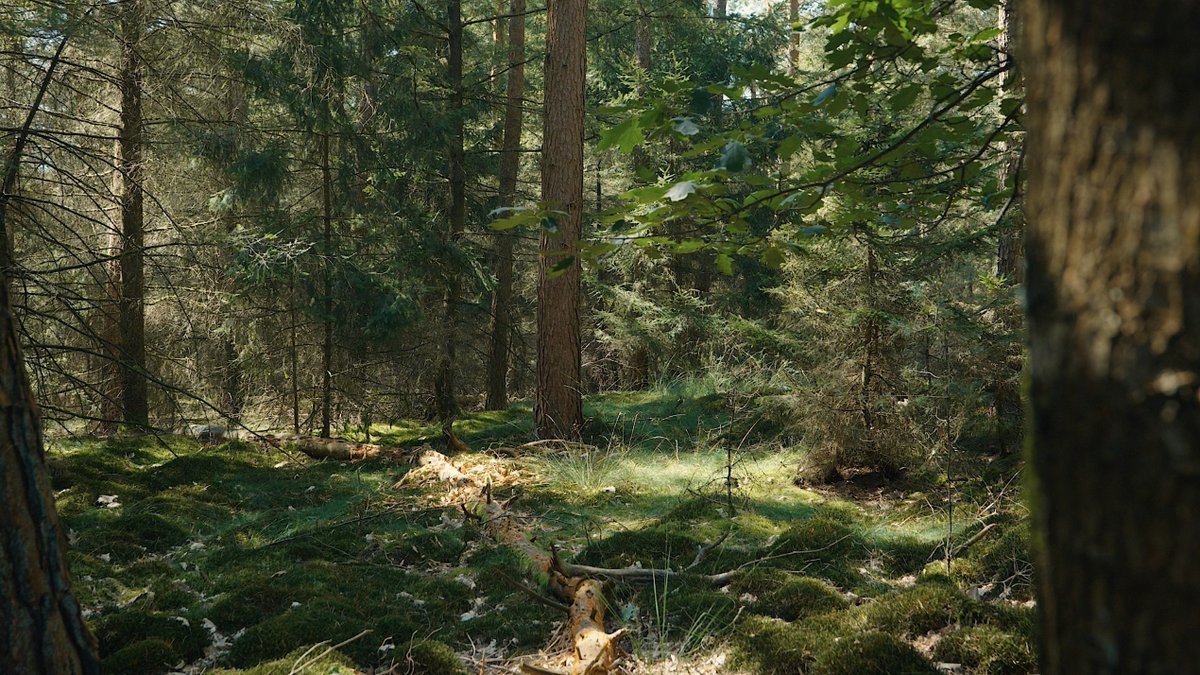 Provincie Noord-Brabant tweet media