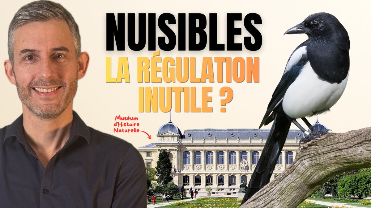 Bertrand Alliot tweet media