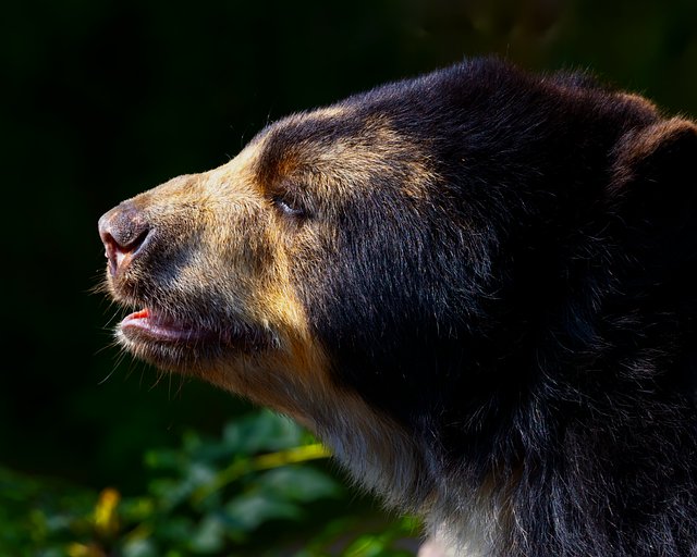 Destin Holiday tweet media