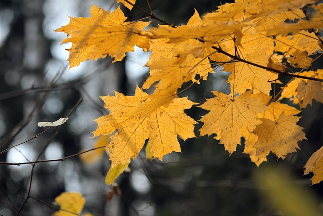 Jordan Jackson tweet media