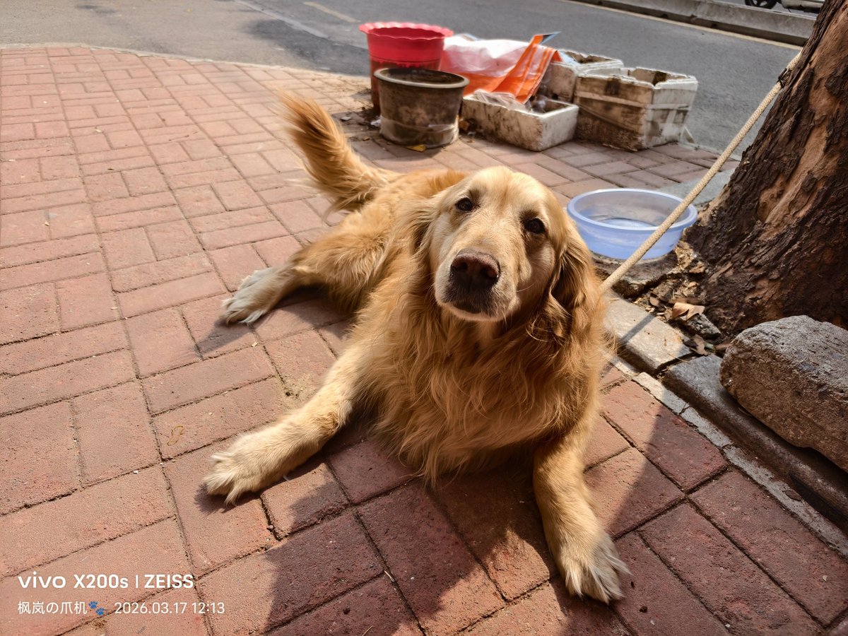 枫岚今天吃什么🔜？ tweet media