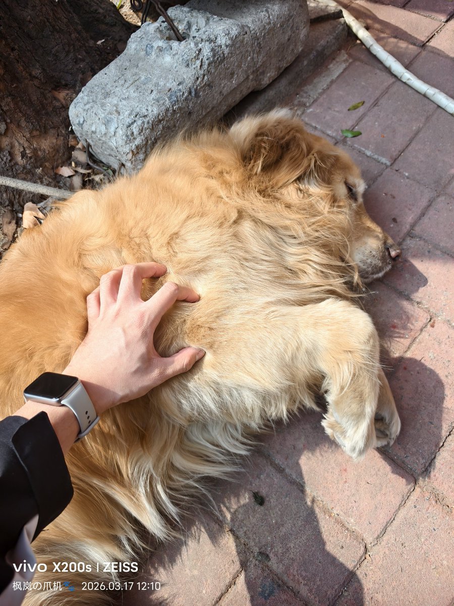 枫岚今天吃什么🔜？ tweet media