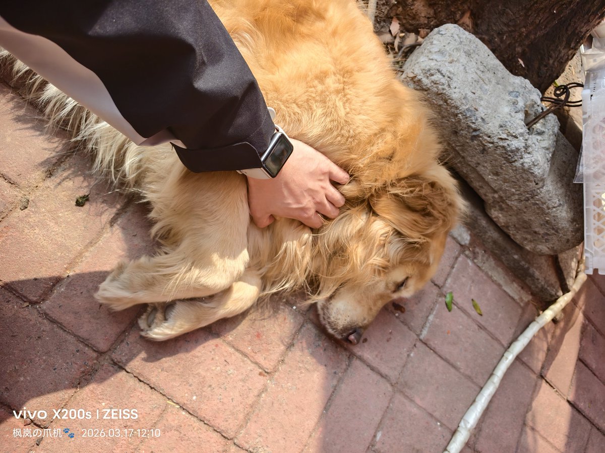 枫岚今天吃什么🔜？ tweet media