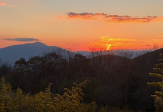 Paternal Legacy tweet media