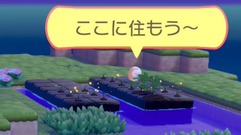 しばいぬ tweet media