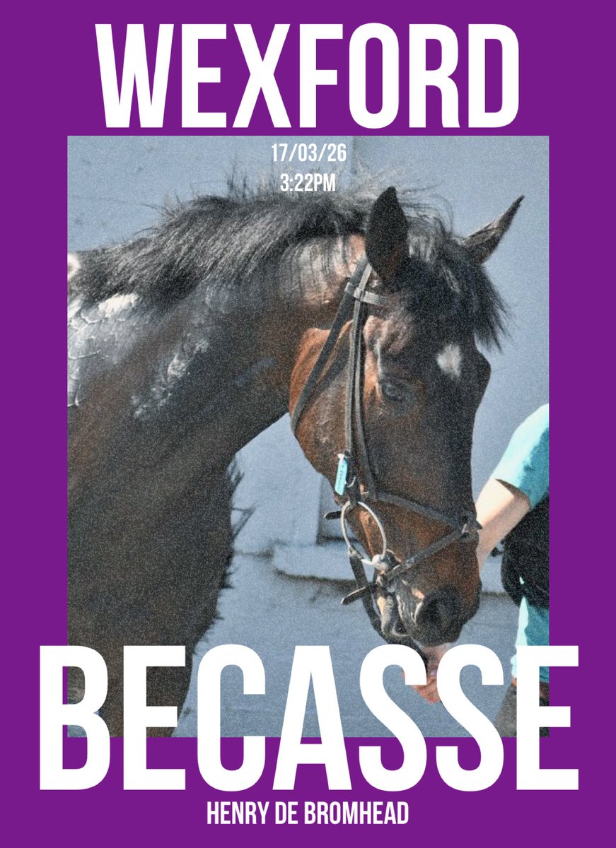 Pimlico Racing Syndicates tweet media