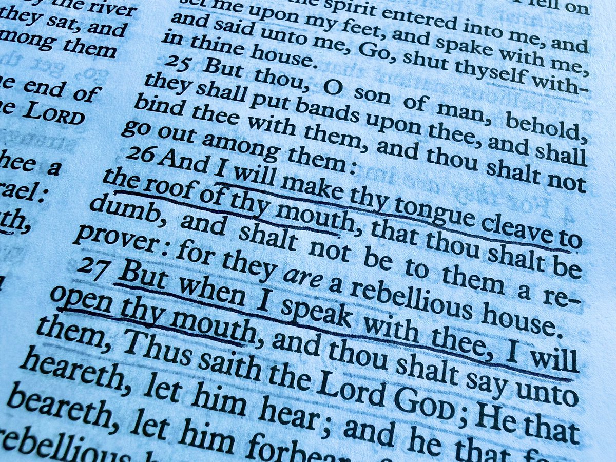 Allen Domelle tweet media