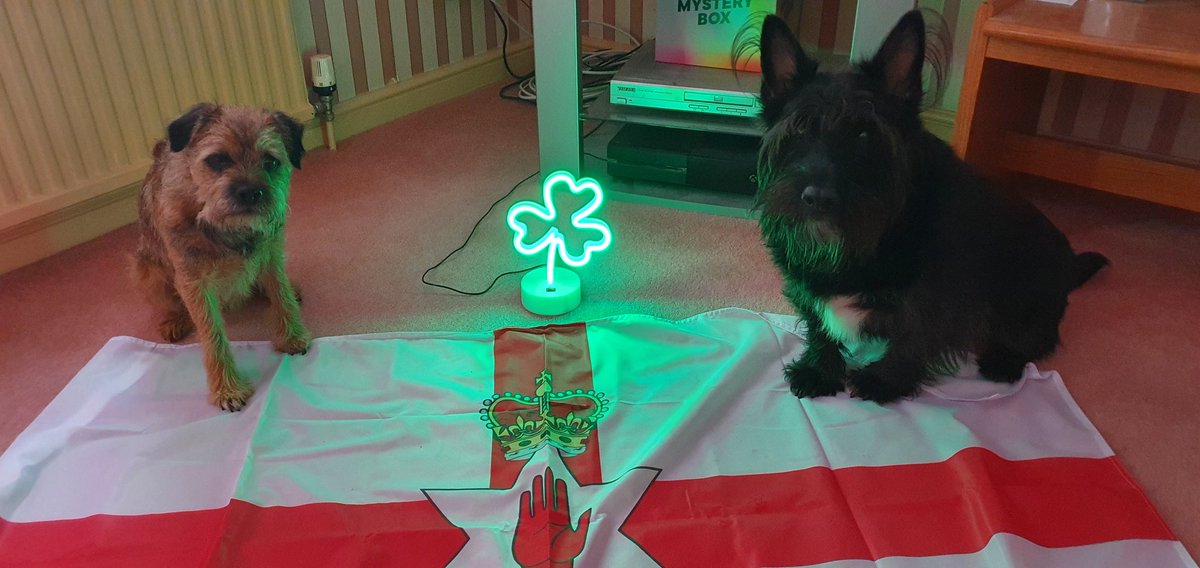 ConorTheBrit's tweet photo. Happy St Patricks day ☘️ https://t.co/zaKUQmJGUW