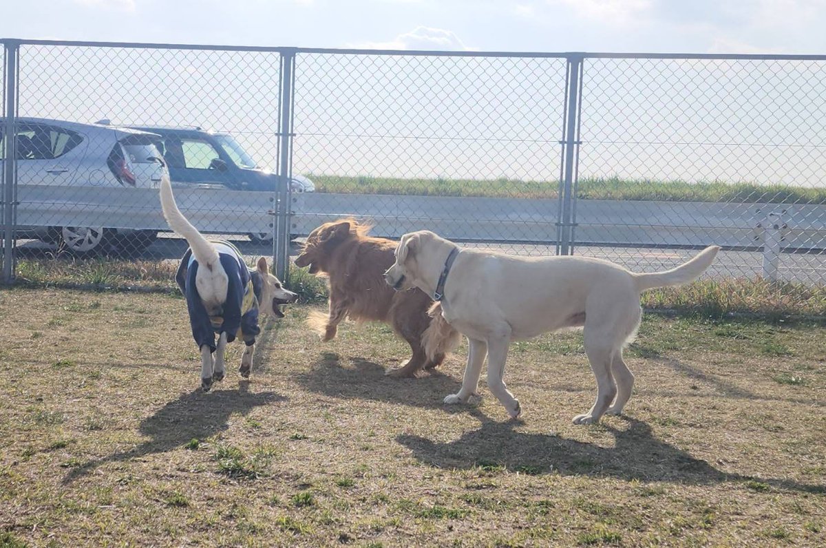 愛しい彼女達とラブラブな時間🩷🩷
トロワは幸せ者です🥰