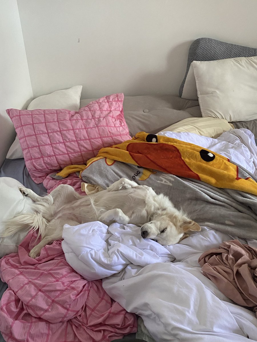 Здравствуйте, дорогие мои мышата tweet media