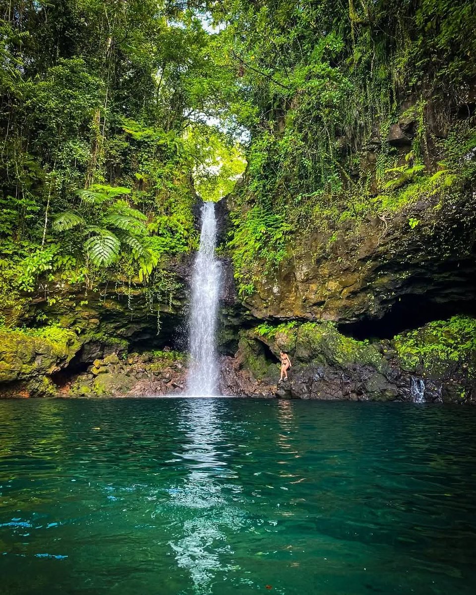 RepPlusUK's tweet image. Such a lovely day at Afu Aau Falls. Thank you for sharing @moiiiize on IG!

This favourite waterfall in Savai’i also goes by another name. Do you know it?

#DiscoverBeautiful #BeautifulSamoa #BucketListDestination #RepPlusClient