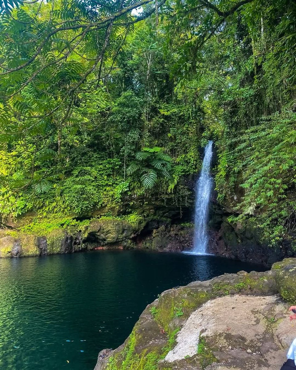 RepPlusUK's tweet image. Such a lovely day at Afu Aau Falls. Thank you for sharing @moiiiize on IG!

This favourite waterfall in Savai’i also goes by another name. Do you know it?

#DiscoverBeautiful #BeautifulSamoa #BucketListDestination #RepPlusClient