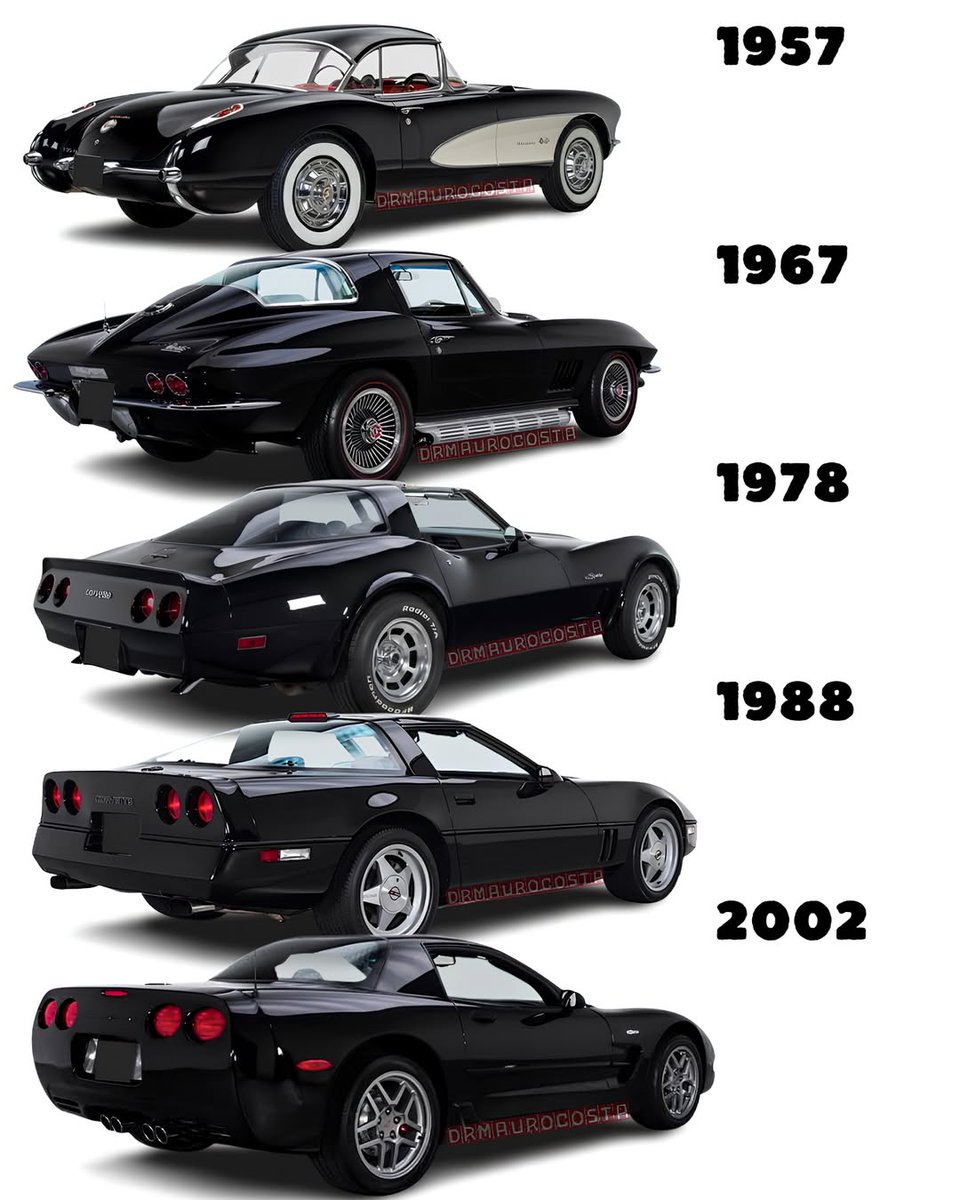 Vintage Cars Collection tweet media