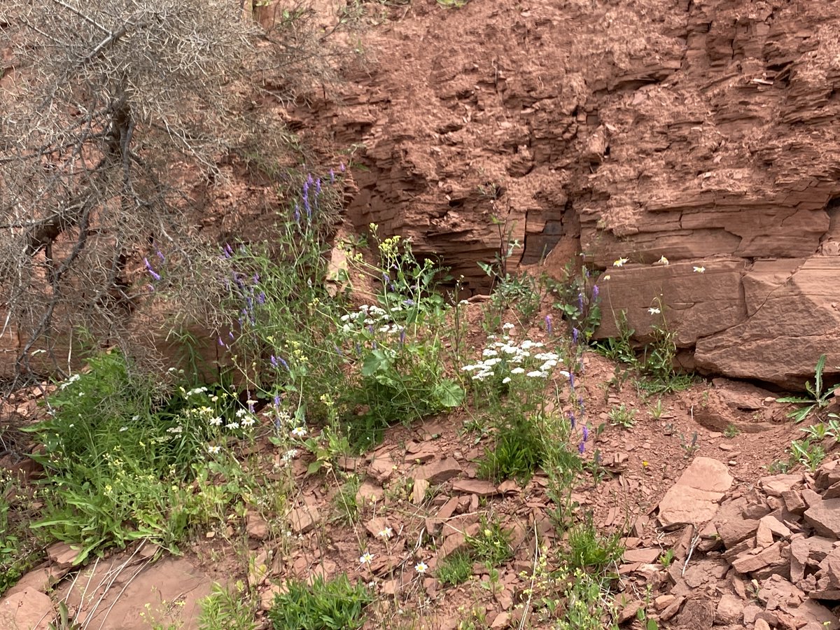 Always Anon PEI tweet media