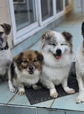 녹챠 아이스크림 tweet media