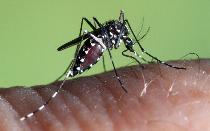 LesenUndTeilen© 🌍 🇪🇺 tweet media