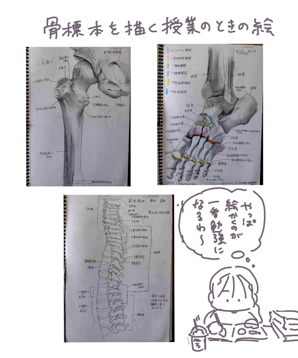 kei／からだ図鑑🇰🇷ver.発売中 tweet media