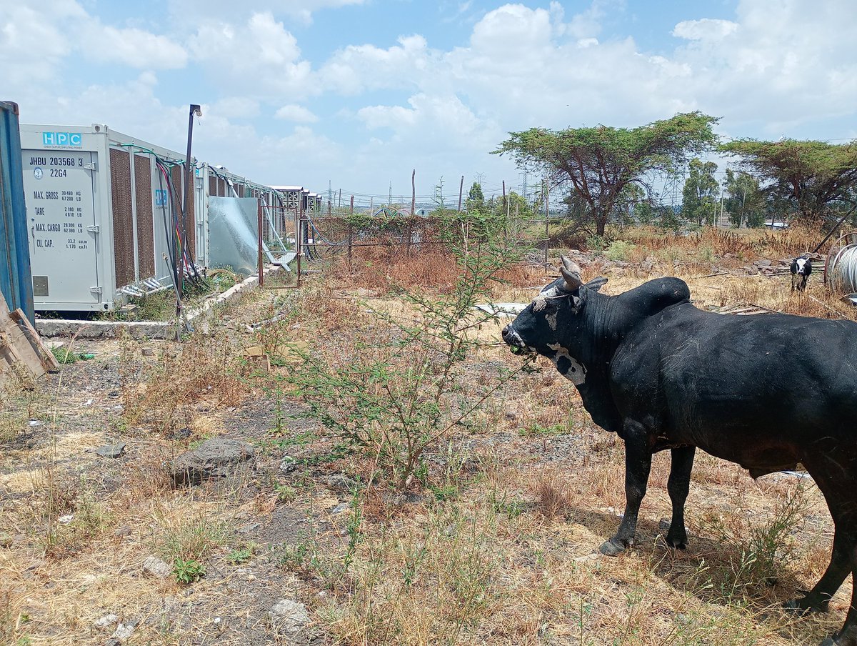 QRB Labs tweet media