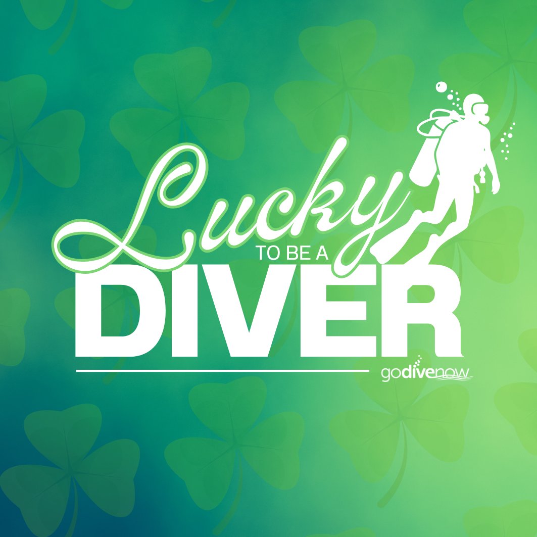 GoDiveNow's tweet photo. If you’re lucky enough to be a diver, you’re already lucky enough! ☘️ Wishing you a Happy St. Patrick’s Day filled with adventure beneath the waves!

#GoDiveNow #stpaddysday #happystpatricksday #ScubaDiver #Scuba #Diver https://t.co/aa4ELXbLQ7