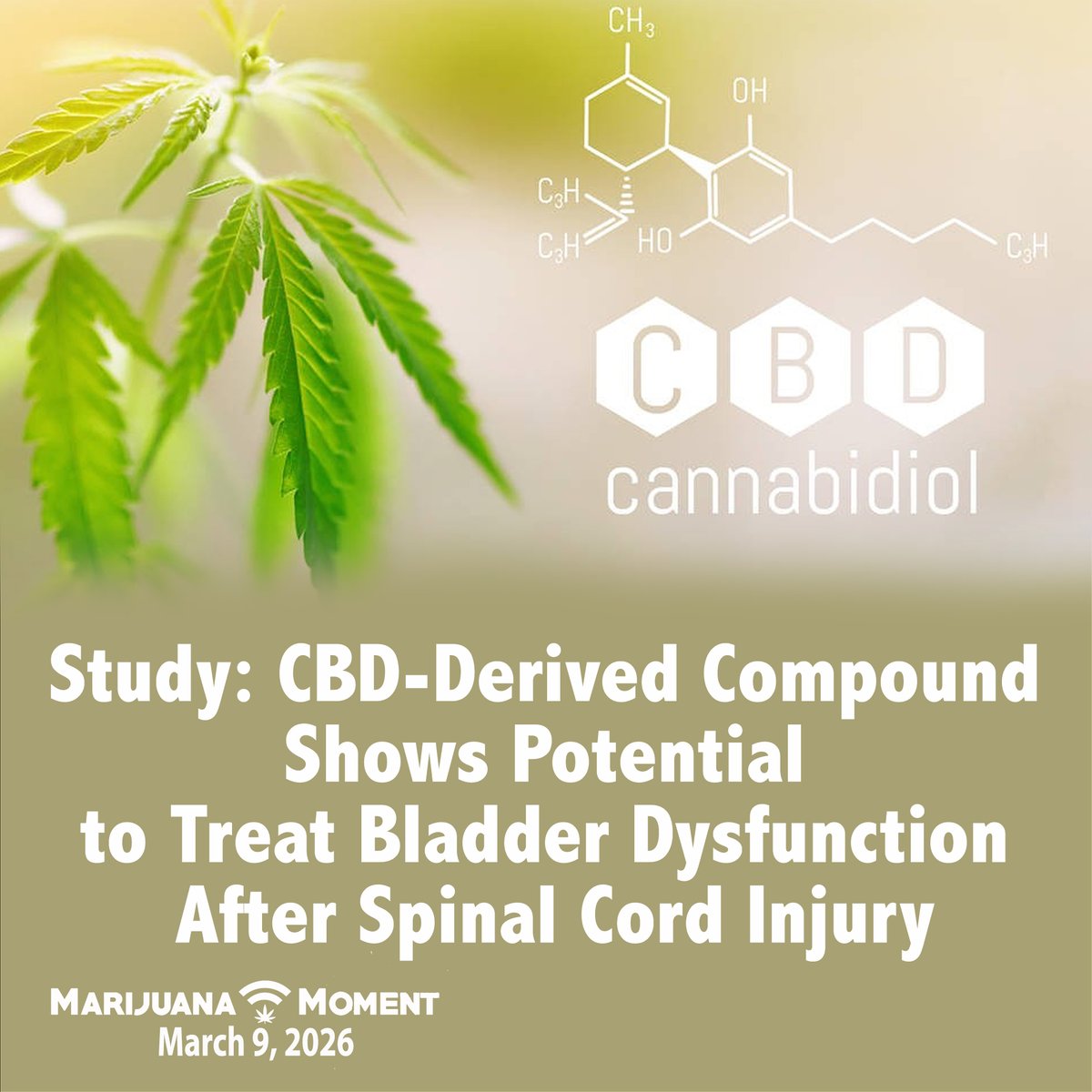 MontelCannabis's tweet image. NEWS
You Might Have Missed

@spinalcordinjuryrecovery 
@spinalcordinjuries 
@spinalcordinjuryconnection 
@spinal_cord_injuries 
#spinalcord #health #wellness #mmj #mmjpatient #mmjcommunity #community #healthcare #selfcare #patientcare #care